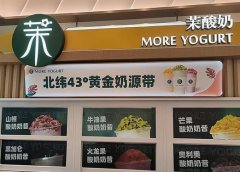 茉酸奶 MORE YOGURT：加盟支持、产品优势、费用剖析！