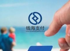 钱海支付：引领支付行业，共创加盟辉煌